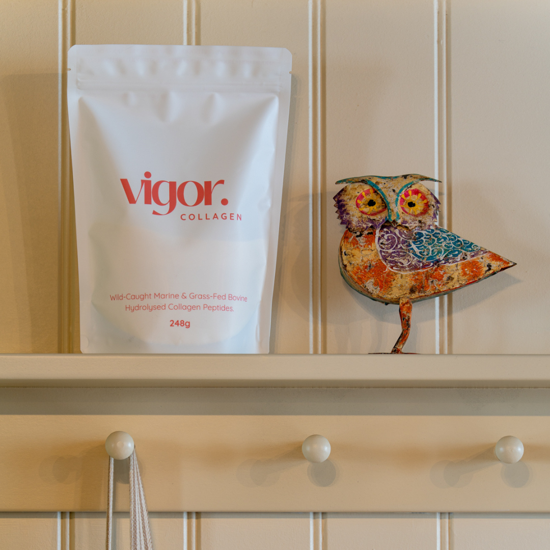 Vigor collagen package on a shelf with a decorative owl figurine.