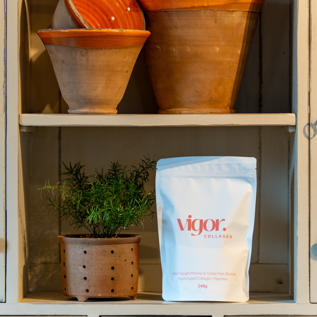 Vigor collagen powder package on a shelf with ceramic pots and herbs